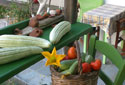 Sifnos Kafenés - vegetables from Sifnos