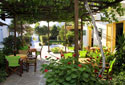 Sifnos Kafenés - The yard